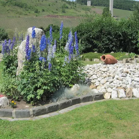 Apartman Elisabeth Decker Zeltingen-Rachtig